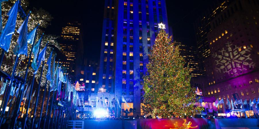 A+New+Tree+Planted%3A+The+Selection+of+the+Rockefeller+Christmas+Tree